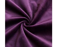 MIULEE 2 Piezas Terciopelo Funda de Cojine Funda de Almohada del Sofá Throw Cojín Decoración Almohada Caso de la Cubierta DecorativoPara 50x 50cm,20 x 20 Pulgadas Berenjena Morada