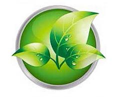 evergreenweb - cojines Cama de Memory Foam y aceites esenciales de soja 40 X 70 Altos 12 cm, Relleno con lazos 100% Espuma de memoria cervicales, forro blanca antiácaros, almohadas para dormir, oferta