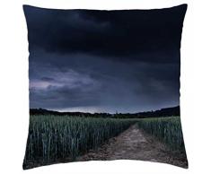 storm arribando sobre un campo de trigo joven - Funda de cojín (18