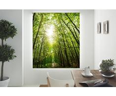 Blindecor Estor enrollable translÃºcido digital, Paisajes,W-P-48493,130X180 cm