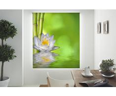 Blindecor Estor enrollable translÃºcido digital, Zen,W-Z-16040,110X180 cm