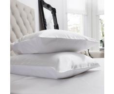 Jasmine Silk - Lote de fundas para almohada (seda y algodón, 50 x 75 cm)