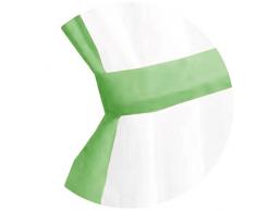 Juego de cortinas cortinas Serie: SKYLINE, tela, grün - apfelgrün, 140 x 120cm