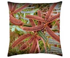 Semillas de Mimosa Pudica – Funda de almohada manta (18