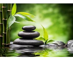 Cortina Confeccionada Zen Piedras y Bambú | Varias Medidas 350 x 230 cm