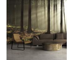 murando - Fotomurales Bosque 350x270 cm XXL Papel pintado tejido no tejido Decoración de Pared decorativos Murales moderna de Diseño Fotográfico naturaleza – 100403-38