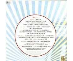 New Roman Times (2-LP Set, includes download card) [Vinilo]