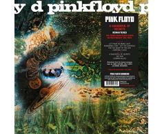 A Saurceful Of Secrets [Vinilo]