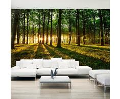 Fotomural 500x280 cm - Grande Formato XXL- 3 tres colores a elegir - Top Fotomural 5m Papel tejido-no tejido. Fotomurales - Papel pintado Foresta Naturaleza Paisaje árboles c-B-0127-x-b