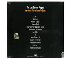 Everything You've Come To Expect [Vinilo]