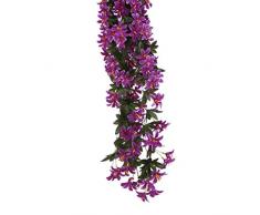 plantas vid de flor lirio artificial guirnalda colgante decoracin para hogar fiesta prpura - Plantas Colgantes plantas vid de flor lirio artificial guirnalda colgante decoracin para hogar fiesta prpura - Plantas Colgantes