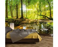 murimage Papel Pintado Bosque 366 x 254 cm Incluyendo Pegamento Fotomurales Vista 3D Madera árboles luz del Sol Sala Living Oficina Dormitorio