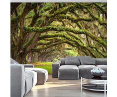 Fotomural 250x175 cm ! 3 tres colores a elegir - Papel tejido-no tejido. Fotomurales - Papel pintado 250x175 cm - pared naturaleza b-A-0174-a-d