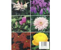 Plagas y enfermedades de las plantas en maceta con flores