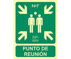 NM RD14106 - Señal Luminiscente Punto De Reunion Clase B PVC 0,7mm 22,4x30cm con CTE, RIPCI y Apto para la Nueva Legislación