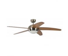 Pepeo Melton - Ventilador de techo, color marrón oscuro