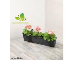 Jardinera para balcón de polyrattan incluye suspensión y sistema de riego, antracita, 80 x 19 x 18 cm