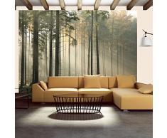 Fotomural 350x270 cm ! Papel tejido-no tejido. Fotomurales - Papel pintado 350x270 cm - naturaleza 100403-192