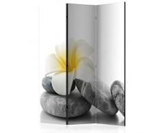 murando - Biombo - 135x172 cm de impresion bilateral en el lienzo de TNT de calidad - Decoracion cuarto - Biombo de madera con imagen impresa - b-B-0190-z-b