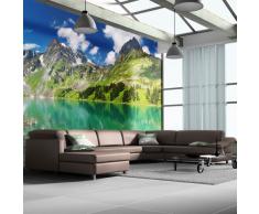 Papel tejido-no tejido. Fotomurales ! Formato grande XXL! 200x154 cm !!! 100403-8