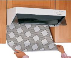 WENKO 2226020100 Filtro plano para campana - juega de 2 piezas, Fibra corta de rayón, Blanco