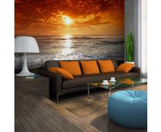 Fotomural 300x231 cm ! Papel tejido-no tejido. Fotomurales - Papel pintado 300x231 cm ! naturaleza ! 100403-257