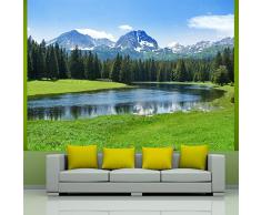 Papel tejido-no tejido. Fotomurales ! Fotomural ! Papel pintado 200x154 cm - naturaleza 100403-127