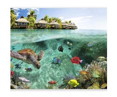 murando Fotomurales 100x70 cm XXL Papel pintado tejido no tejido Decoración de Pared decorativos Murales moderna de Diseno Fotográfico naturaleza paisaje mar pescado verano c-A-0027-a-a