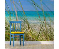 Papel tejido-no tejido. Fotomurales ! Formato grande XXL! 350x270 - naturaleza 100403-270