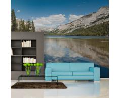 Papel tejido-no tejido. Fotomurales ! Formato grande XXL! 150x116 cm !!! 100403-94