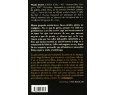 La mampara (Humo hacia el sur)