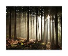 murando - Fotomurales Bosque 200x154 cm XXL Papel pintado tejido no tejido Decoración de Pared decorativos Murales moderna de Diseño Fotográfico naturaleza – 100403-38