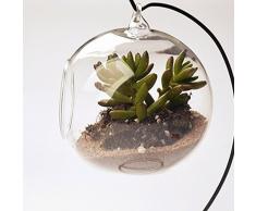 tia-ve forma de bola para colgar bolas decorativas de cristal florero para planta decoración