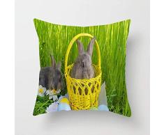 NA Cesta con Huevos de Pascua de Colores sobre Hierba Funda de Almohada Funda de cojín de algodón Suave para sofá Dormitorio Coche