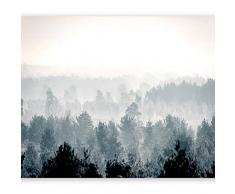 murando Fotomurales Bosque 350x256 cm XXL Papel pintado tejido no tejido Decoración de Pared decorativos Murales moderna de Diseno Fotográfico Niebla Naturaleza c-B-0347-a-a