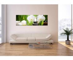 Cuadro sobre lienzo - 3 piezas - Impresión en lienzo - Ancho: 150cm, Altura: 50cm - Foto número 2718 - listo para colgar - en un marco - CA150x50-2718