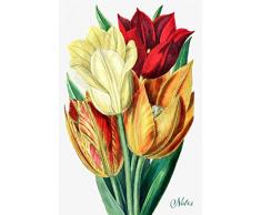 Notes: Tulips Flower Blank Journal |Red Yellow Orange Flower Bouquet Notebook | Vintage Retro Style Art