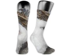 XHYYY Los calcetines para hombres y mujeres son cómodos, ligeros y sudorosos, novedad para hombre, conejo blanco divertido, cesta de sauce de Pascua, calcetines medianos y largos