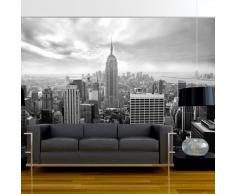 Fotomural 400x280 cm ! Papel tejido-no tejido. Fotomurales - Papel pintado 400x280 cm - New York 101104-1