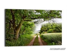 Cuadro sobre lienzo - de una sola pieza - Impresión en lienzo - Ancho: 120cm, Altura: 80cm - Foto número 2637 - listo para colgar - en un marco - AA120x80-2637