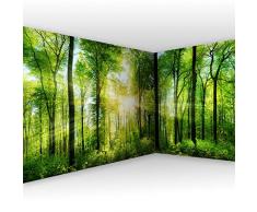 murando Fotomurales Bosque 550x250 cm XXL Papel de esquina Papel pintado tejido no tejido Decoración de Pared decorativos Murales moderna de Diseno Paisaje Panorama c-A-0058-a-b