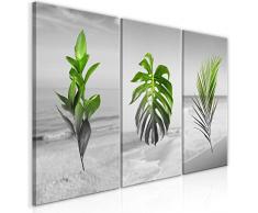 murando Cuadro en Lienzo Hojas Tropicales 60x30 cm impresión de 3 Piezas en Material Tejido no Tejido Cuadro de Pared Foto impresión artística fotografía decoración de Pared – Naturaleza b-A-0392-b-e