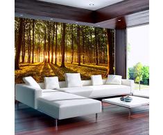 Fotomural 350x245 cm ! 3 tres colores a elegir - Papel tejido-no tejido. Fotomurales - Papel pintado 350x245 cm - bosque sol Árboles naturaleza paisajes c-B-0027-a-c