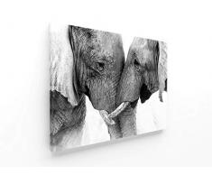 Panorama Lienzo Pareja Elefantes 100x70cm - Impreso en Lienzo Bastidor - Cuadros Decoración Salón - Cuadros para Dormitorio - Cuadros Lienzos Decorativos - Cuadros Modernos Zen