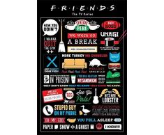 Friends (Infographic Poster, sin laminar