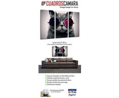 Cuadro Moderno Fotografico Gato Lennon, Gafas Vintage, 97 x 62 cm ref. 26317