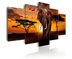 murando - Cuadro en Lienzo 100x50 - Impresion en calidad fotografica - Cuadro en lienzo tejido-no tejido frica Elefante Animal Naturaleza Paisaje g-C-0025-b-m