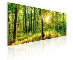murando - Cuadro en Lienzo en Lienzo Bosque 225x90 cm Impresión de 5 Piezas Material Tejido no Tejido Impresión Artística Imagen Gráfica Decoracion de Pared Paisaje Naturaleza c-B-0184-b-m