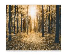 murando Fotomurales 350x256 cm XXL Papel pintado tejido no tejido Decoración de Pared decorativos Murales moderna Diseno Fotográfico naturaleza paisaje bosque c-B-0076-a-d