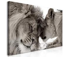 murando Mega XXXL Leon Cuadro 160x80 cm - Cuadro Gigante único - Cuadro en Lienzo en Tamano XXL - Cuadro Grande - Decoración de Pared Leon Animales Africa g-B-0034-ak-g